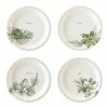 My Mind’s Eye Party Botanical Holiday Collection Green Vignette Plate Set 7"