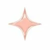 Qualatex Rose Gold Star Point Foil Balloon 20"