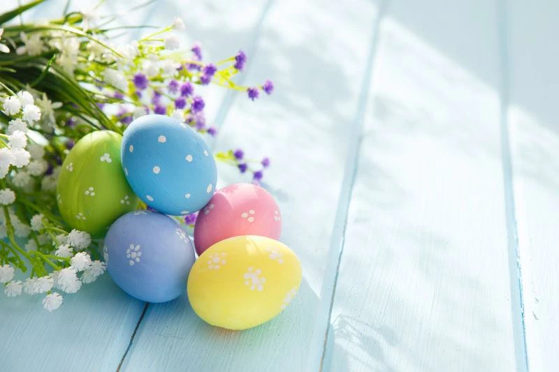 THE HOLIDAY COSPLAY HOUSE Sales -THE HOLIDAY COSPLAY HOUSE Sales 444